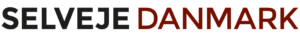 SDK   logo